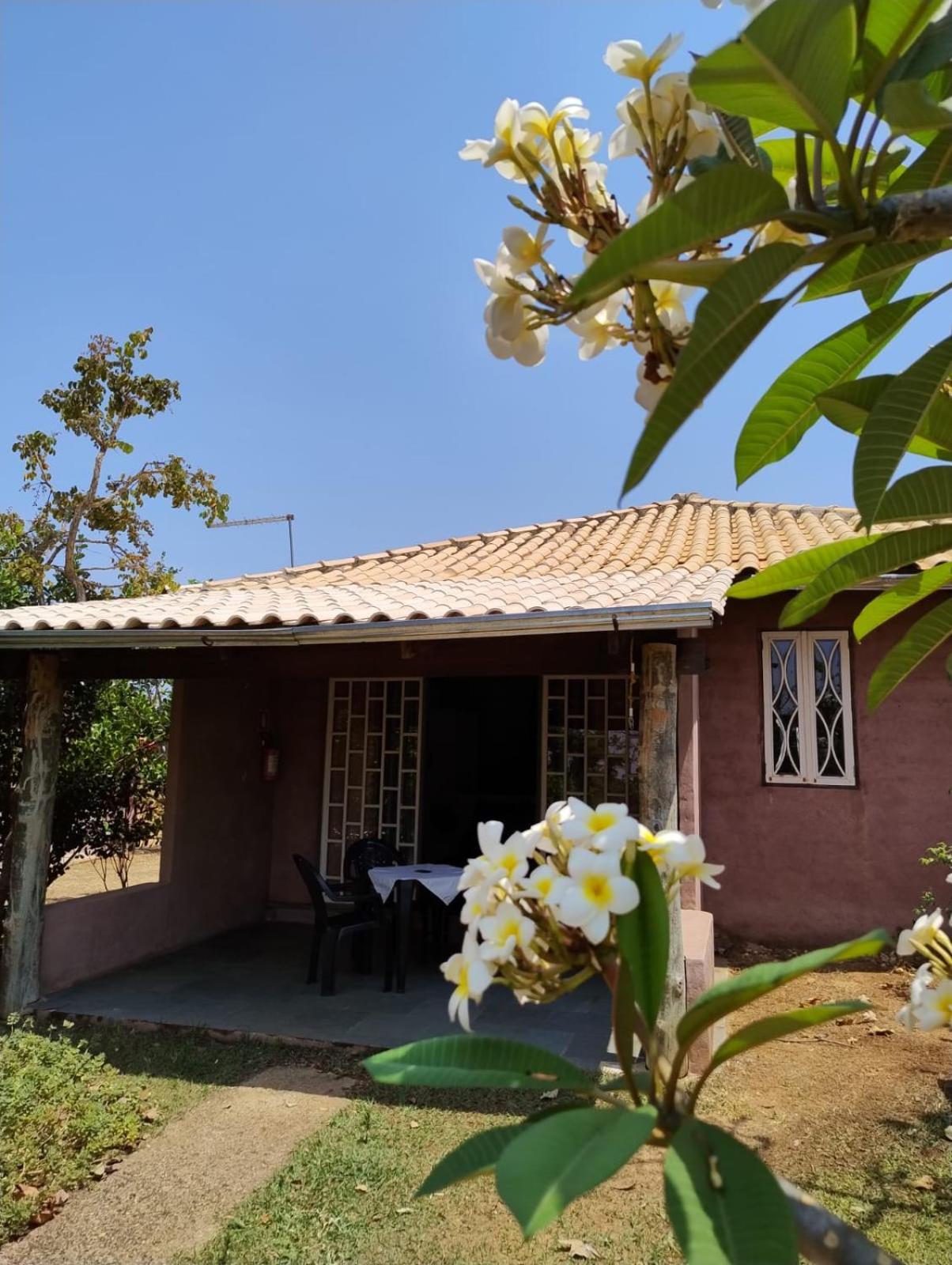 Pousada Refugio Da Serra Pirenópolis Cameră foto